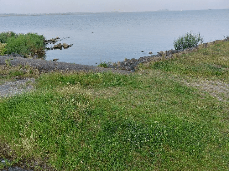 vroegere hondenstrand